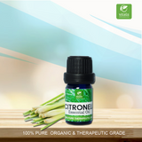 Citronella