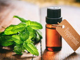 Peppermint Essential Oil