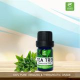 Tea Tree