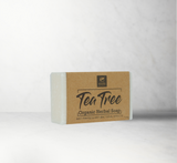 Tea Tree