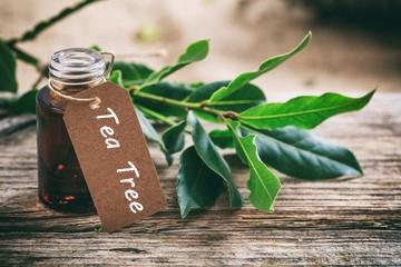 Tea Tree Essential Oil