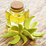 Ylang Ylang Essential Oil